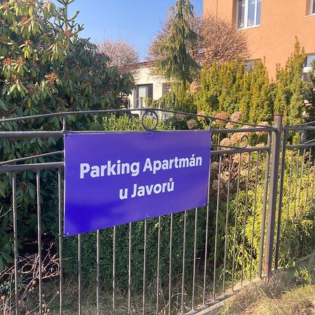 Apartman U Javoru Варнсдорф Екстер'єр фото