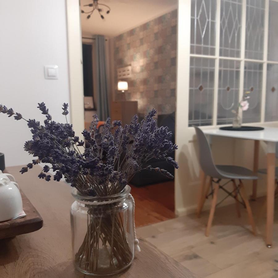 Apartman U Javoru Варнсдорф Екстер'єр фото